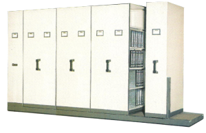 Mobile File System Manual Lion 37 (20 CPTS)