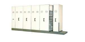 Mobile File System Manual Lion 37 C (50 CPTS)