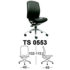 Kursi Direktur & Manager Chairman TS 0553