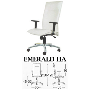 Kursi Direktur & Manager Savello Emerald Ha